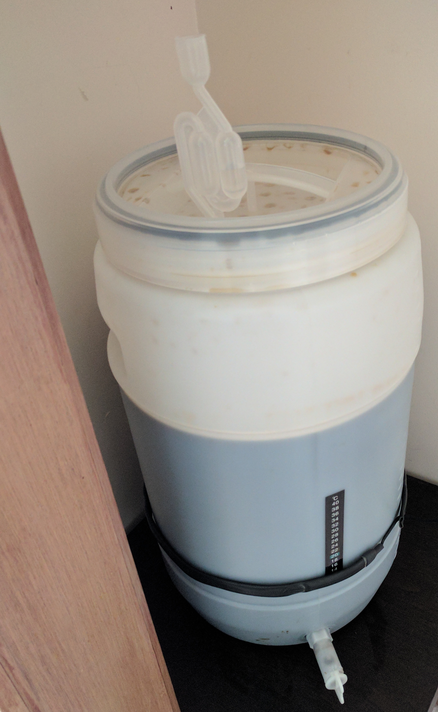 Homebrewing fermenter brewing milk stout 